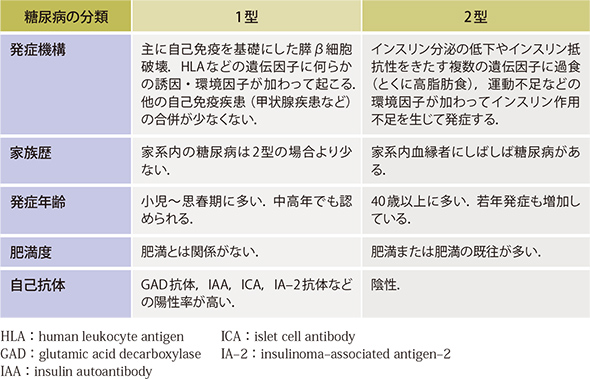 糖尿病の成分による分類と特徴