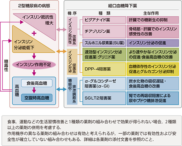 病態に合わせた経口血糖降下薬の選択